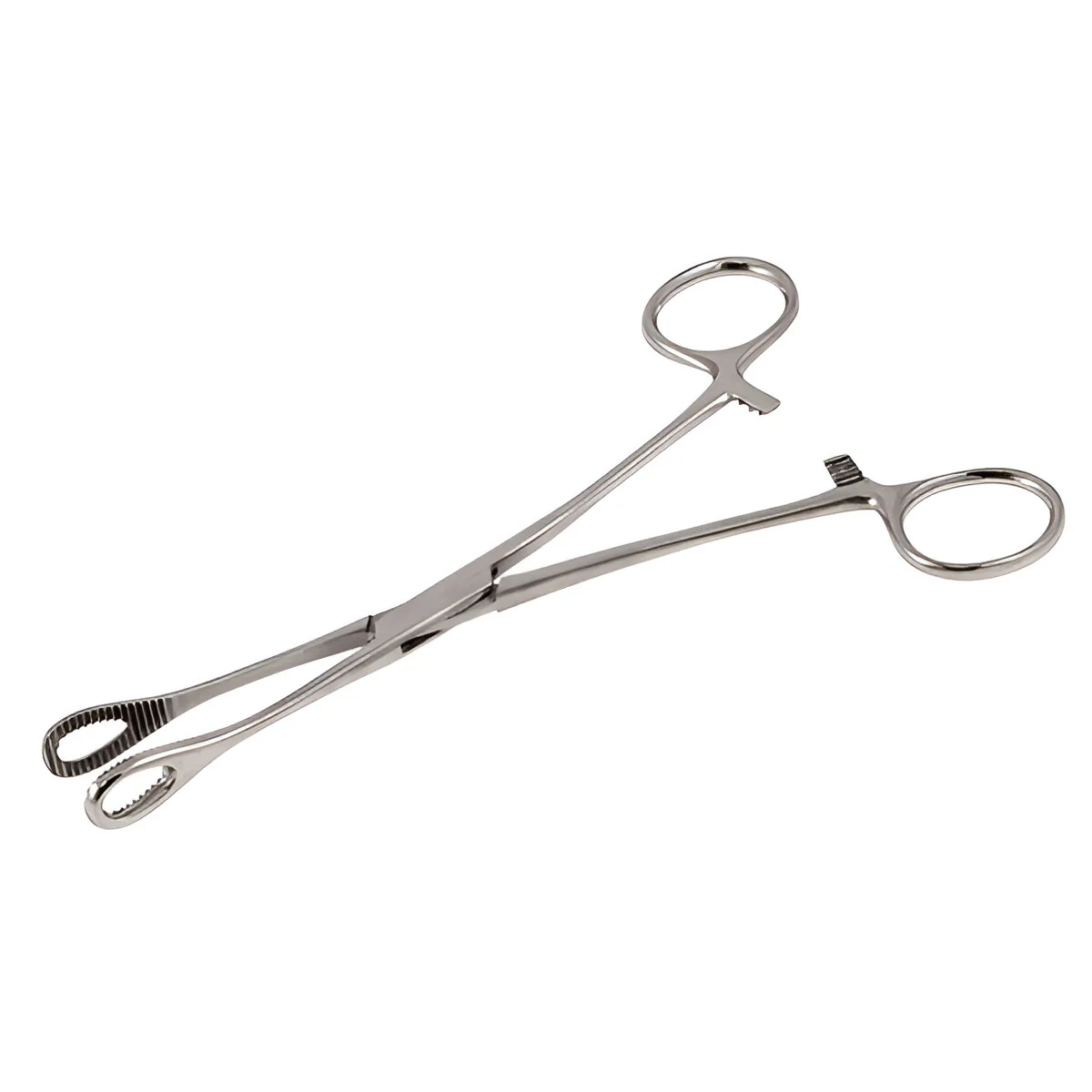 Foerster Forceps 18cm (Various Sizes)