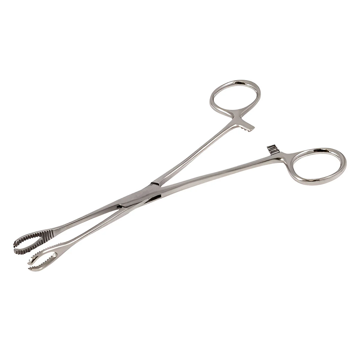 Foerster Forceps 18cm (Various Sizes) - Image 2