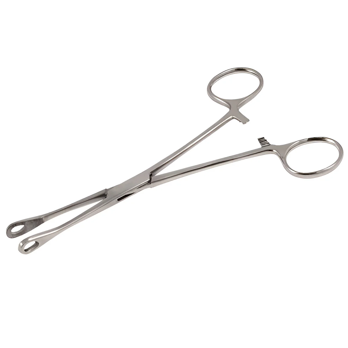Mini Size Steel Foerster Forceps (Various Sizes)