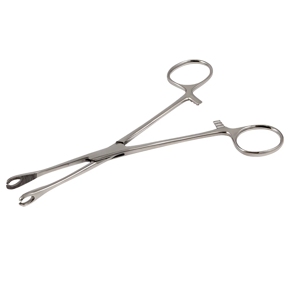Mini Size Steel Foerster Forceps (Various Sizes) - Image 2
