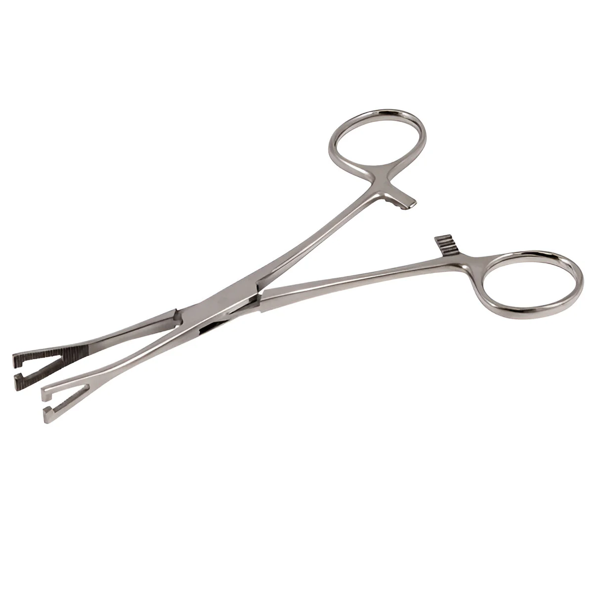Pennington Forceps 15cm (Various Sizes) - Image 2
