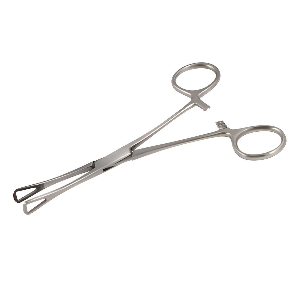 Pennington Forceps Mini Size 15cm (Various Sizes)