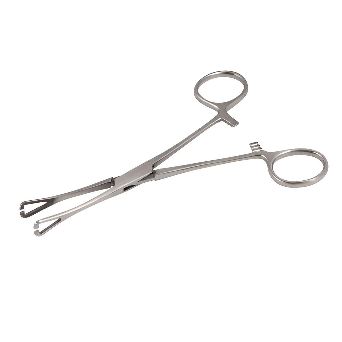 Pennington Forceps Mini Size 15cm (Various Sizes) - Image 2