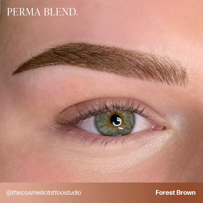 Perma Blend Brow Pigment 15ml Forest Brown - Image 2