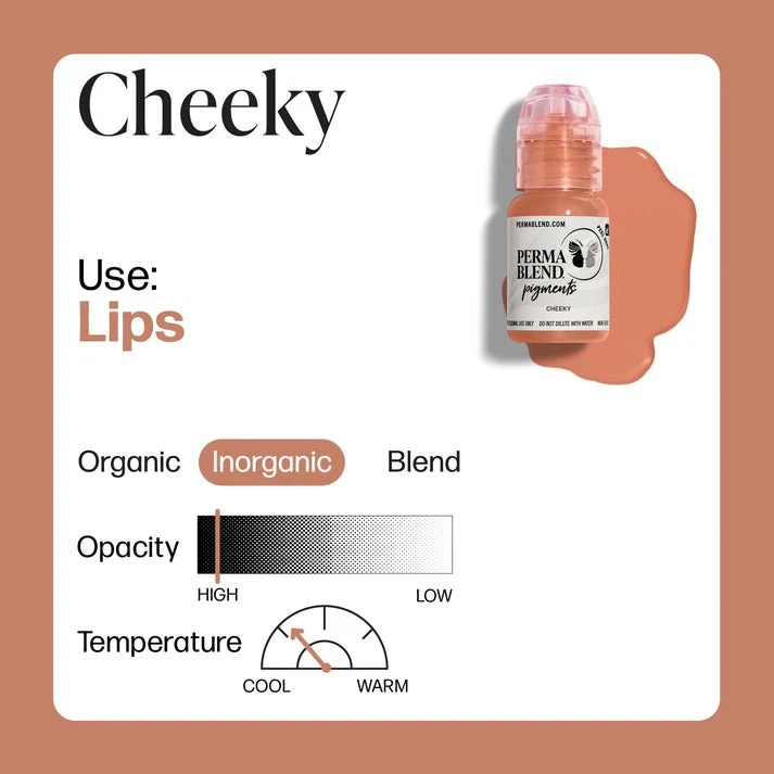 Perma Blend Lip Pigment 15ml Cheeky - Image 3